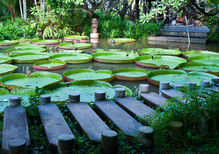 Pamplemousses Botanischer Garten